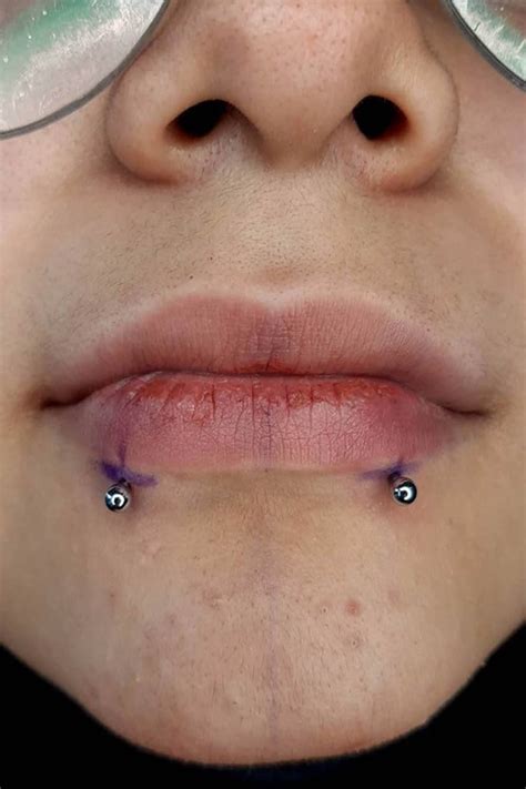 lip piercing snake bites|Snake Bites Piercing Ultimate Guide with Aftercare。